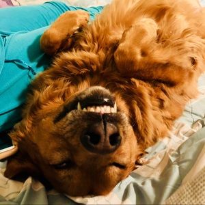 Meet your Posher, Michelle